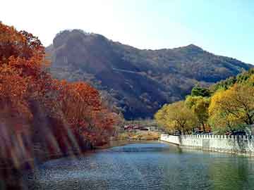 澳门二四六天天彩图库，黑帽seo自学